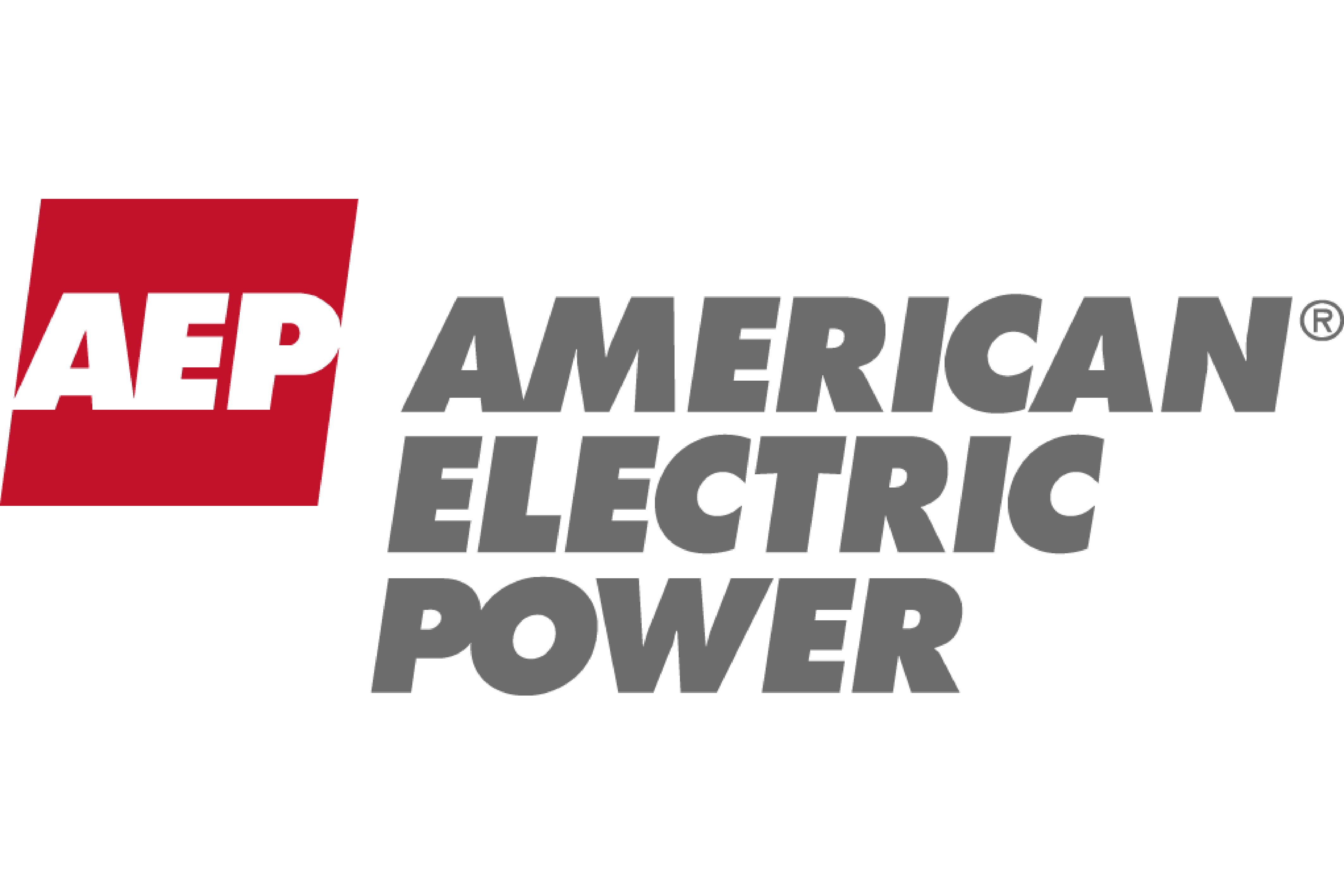 AEP_Logo_COLOR United States National Committee